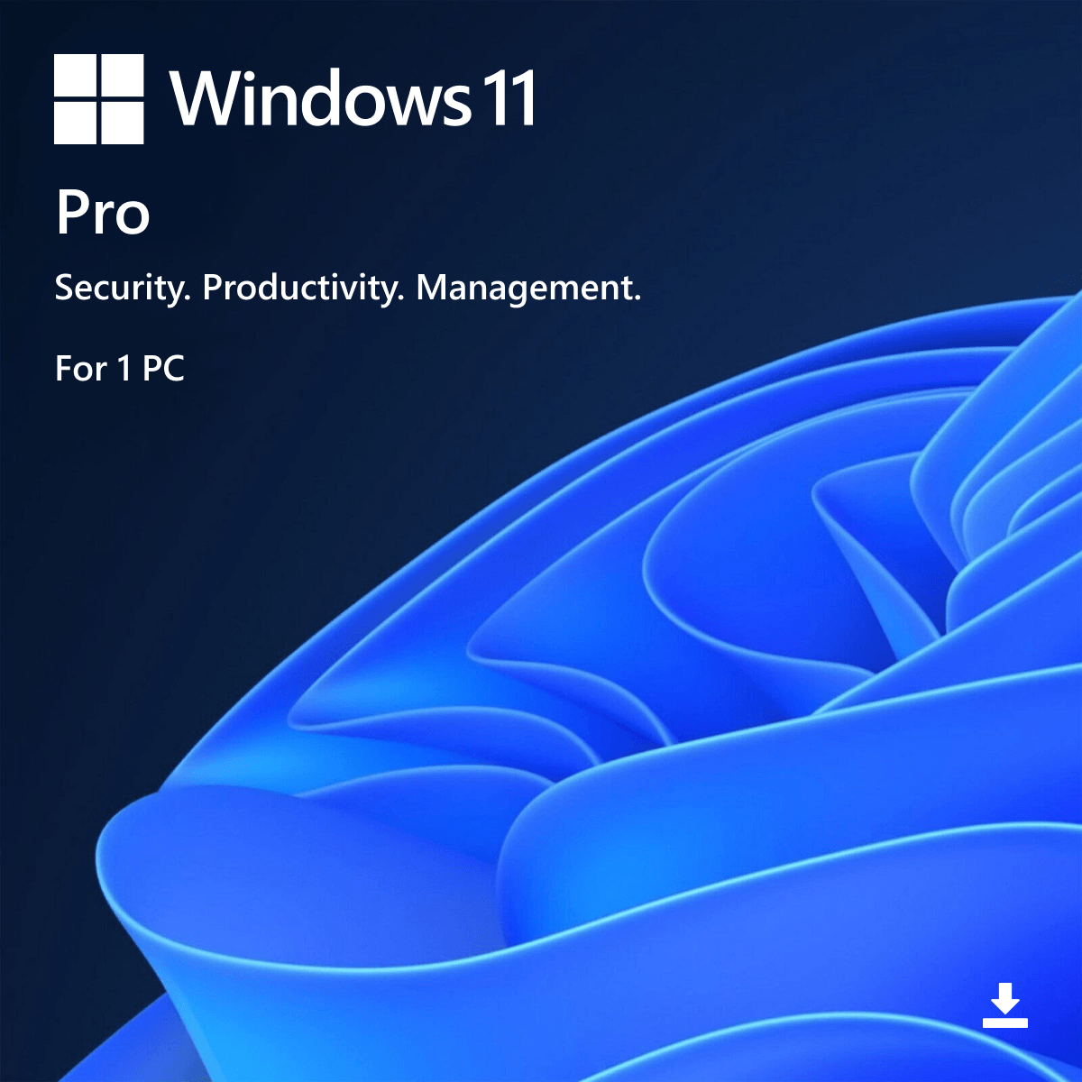 Windows 11 Pro